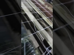 شبكة تسلق النبات