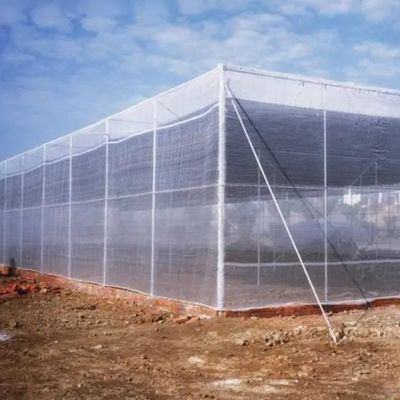 HDPE 5000S Agriculture Insect Net 50m 100m UV Resistant