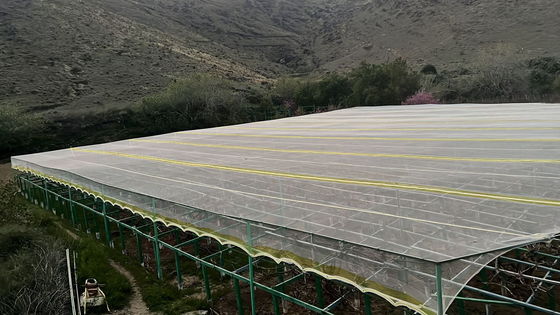الشبكة الزراعية المقاومة للحشرات من HDPE المعالجة بالأشعة فوق البنفسجية توفر مقاومة للدموع